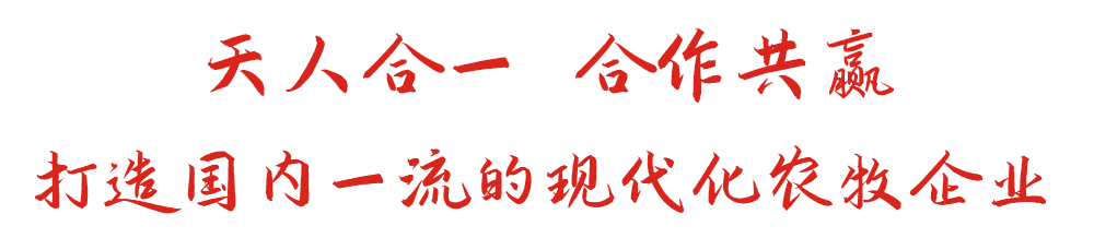 天利来老牌国际官网app,w66平台,来利国际w66官方网站一 合作共赢